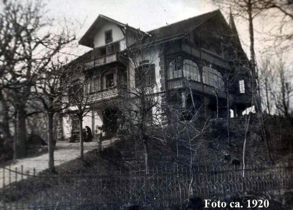 Goldau Art Deco Villa Mon Abri Bnb المظهر الخارجي الصورة